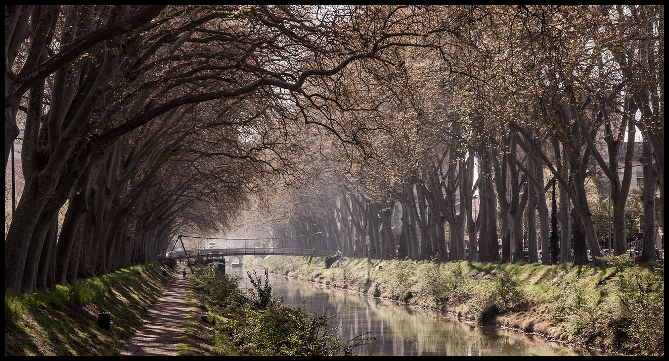 Canal de Brienne