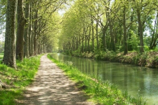 Canal du midi